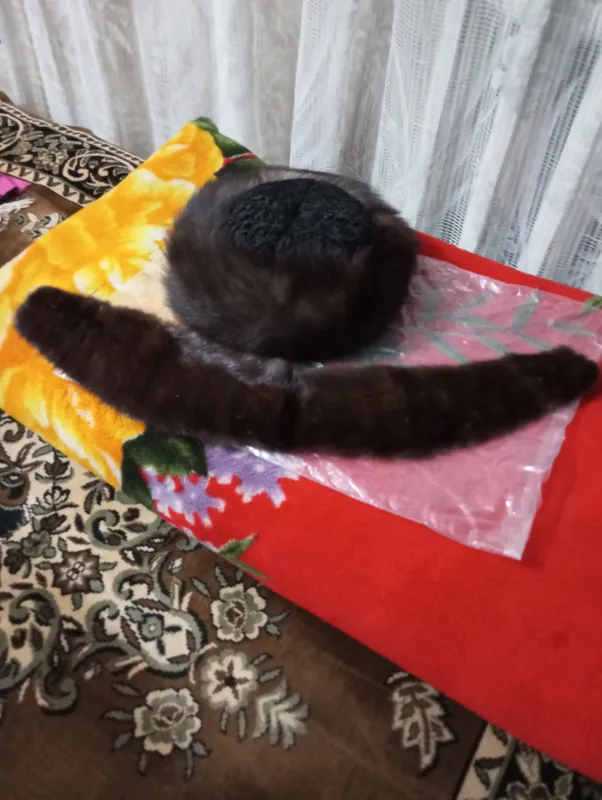 Mo‘ynali qalpoq va yoqa 2 Mo‘ynali qalpoq va yoqa 2