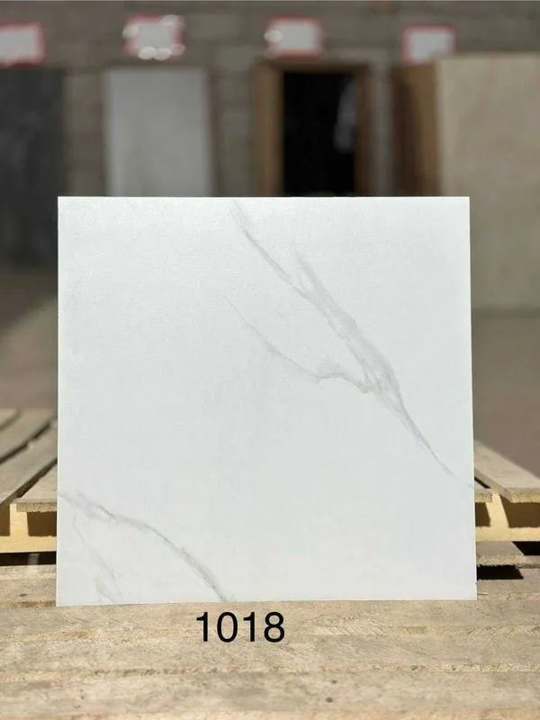 kafel keromogranit 60x60