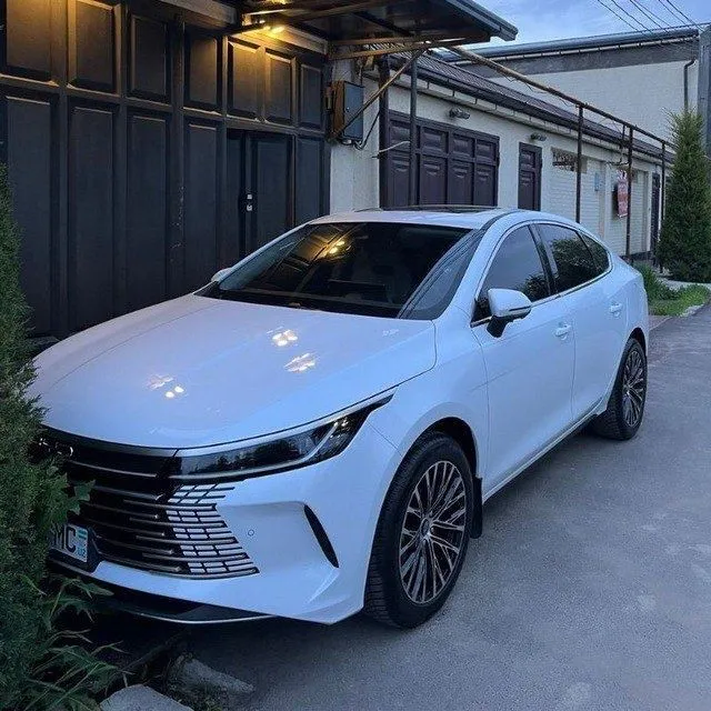 byd chazor GIBRID 1 byd chazor GIBRID 1