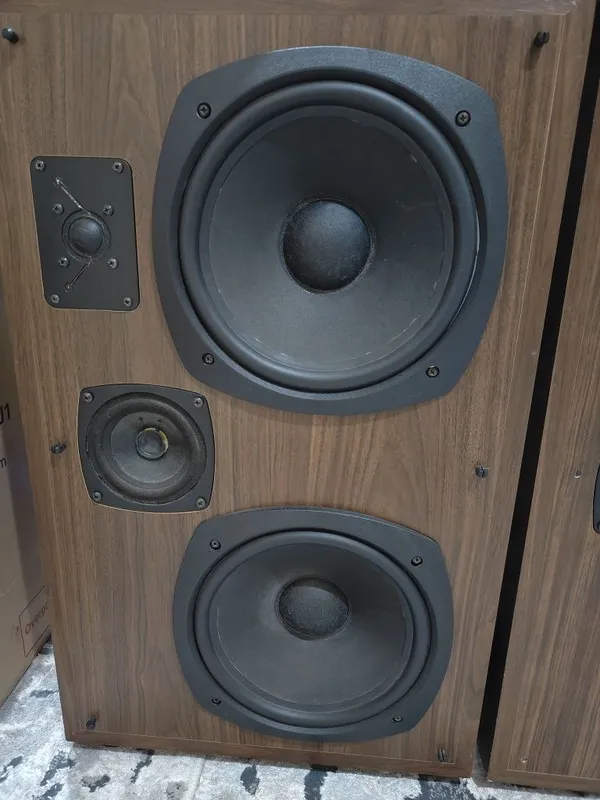 Peerless 1120 + Pioneer VSA-530 — фото 4