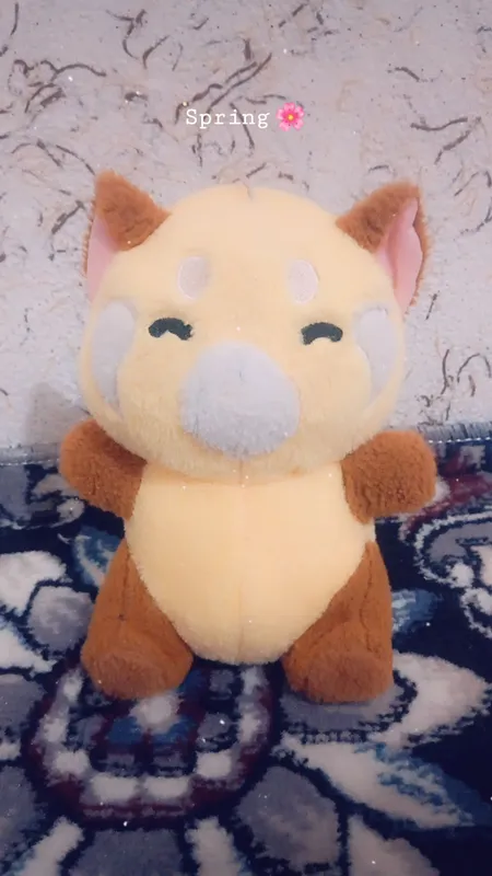 yangi