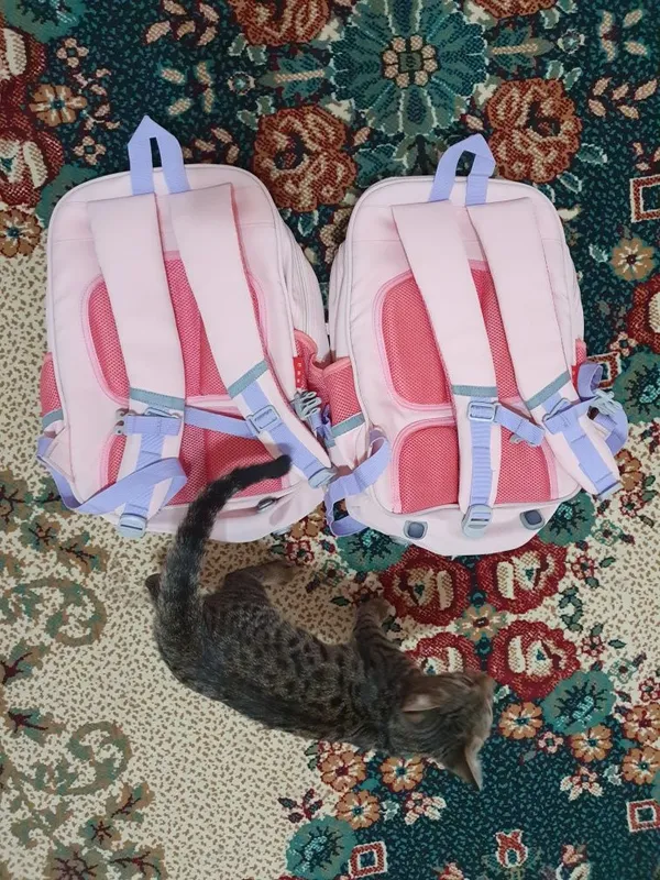 Qizlar uchun chiroyli va sifatli maktab sumkasi 6 Qizlar uchun chiroyli va sifatli maktab sumkasi 6