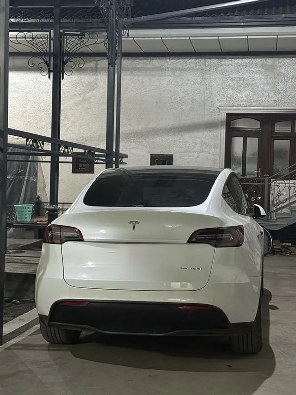 TESLA model vay duval mator