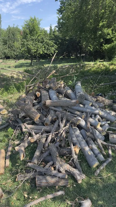otin sotiladi kmga qzq bosa tel qilselar gaplashamz — фото 1