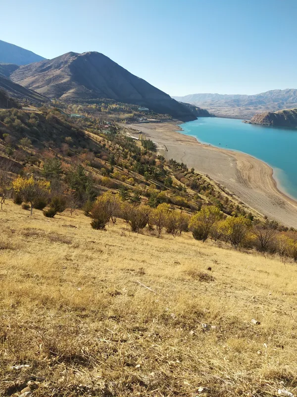 заказ микроавтобуса — фото 3