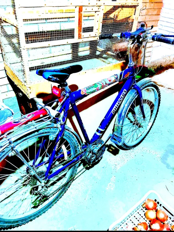 velosiped — фото 1