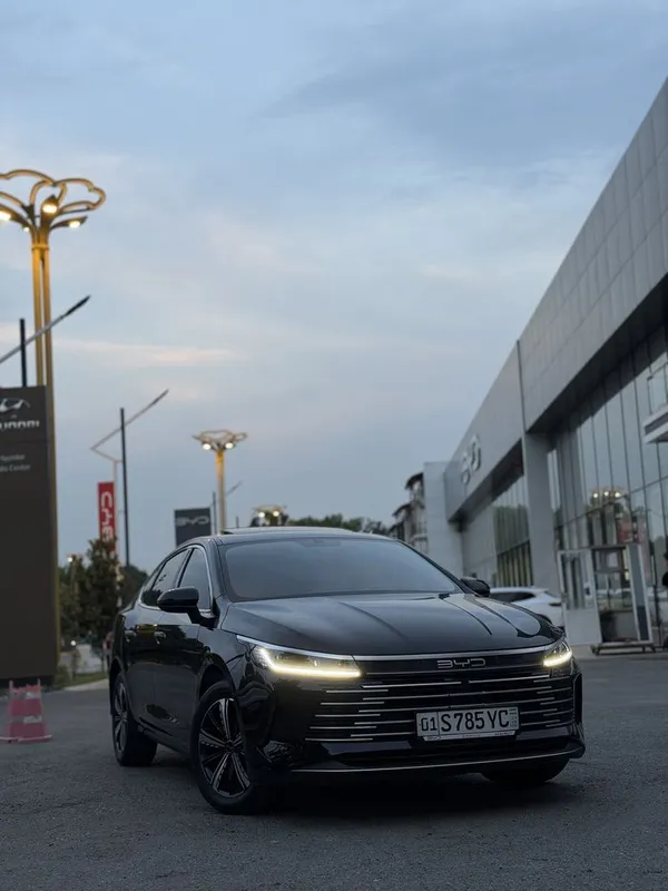 Byd chazor 2024 3poz
