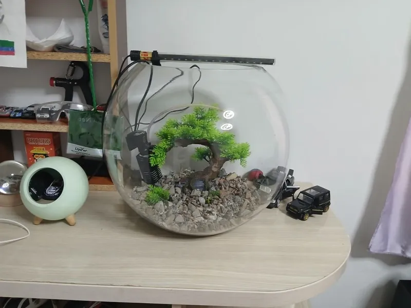 Agar akvarium sotib olsangiz, sovg‘a sifatida yana 5 litrli 1 ta beriladi 6 Agar akvarium sotib olsangiz, sovg‘a sifatida yana 5 litrli 1 ta beriladi 6