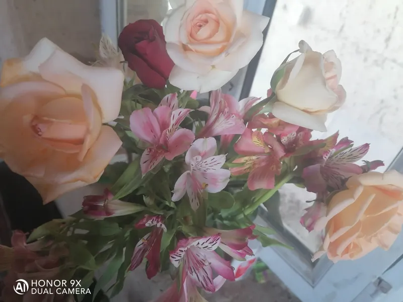 гуллар гуллар