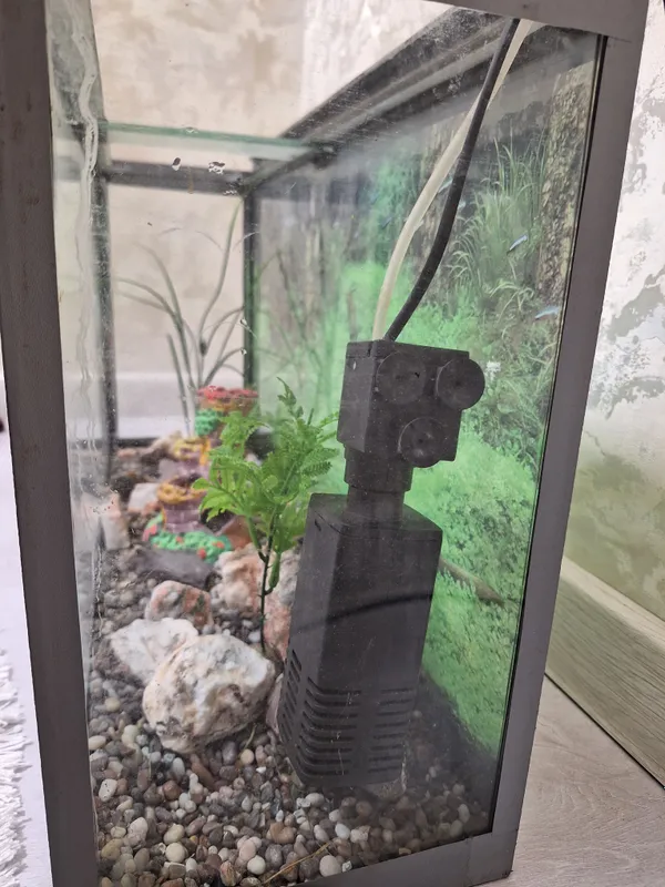 60 litirlik akvarium , holati juda zo'r — фото 2