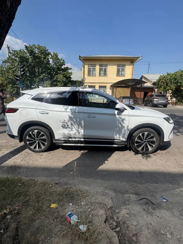 Byd chempion gibrid, 150 talik sotiladi 4