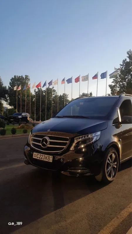 VITO extra longa