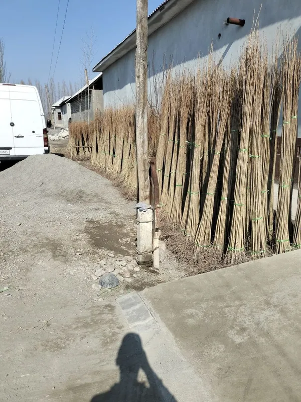 Terak kuchat sifatli arzon narhlarda — фото 4