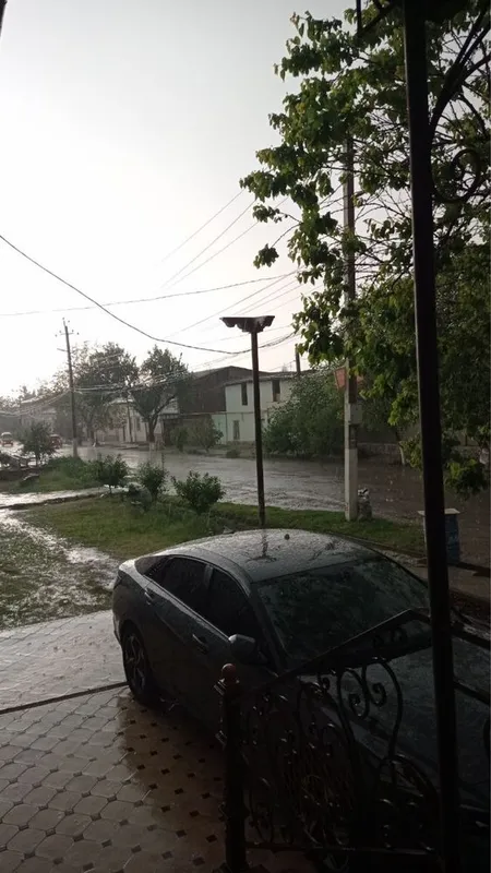 Biznes uchun uchastkamiz ijaraga