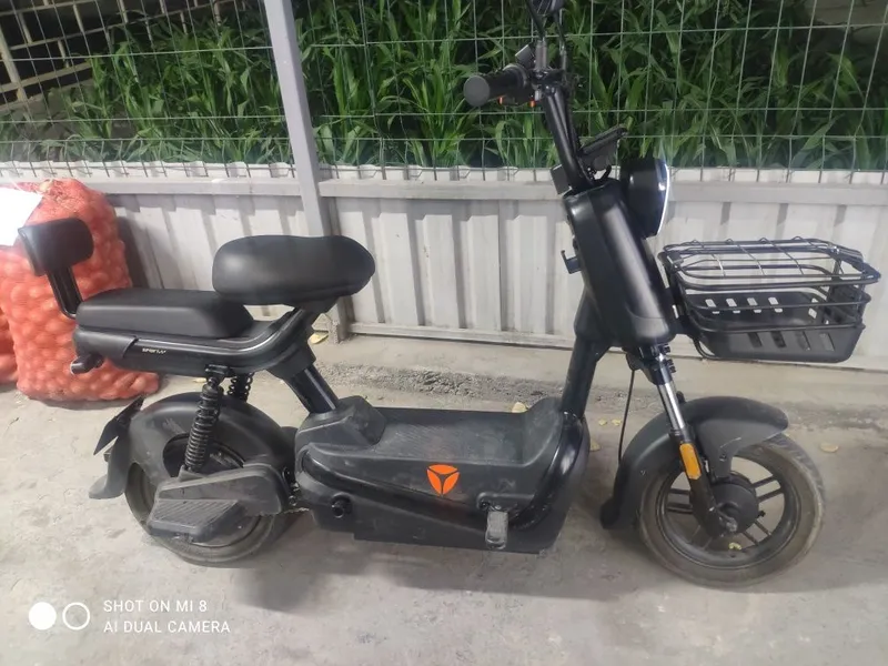 Nomi yadea yili 2026