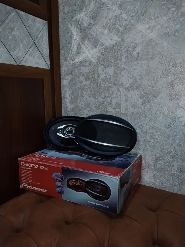 Pioneer TS-A6975S karnay 4
