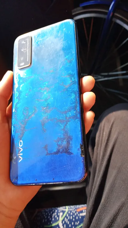 vivo 3 vivo 3