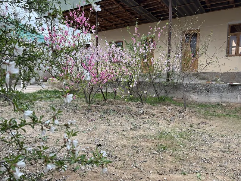 Tayyor Hovli 4 sotix, hamma qulayliklari bilan — фото 5