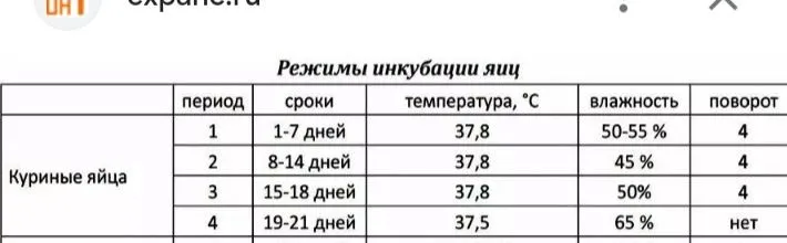 Инкубатор автомат 12 волтга ишлайди заказга