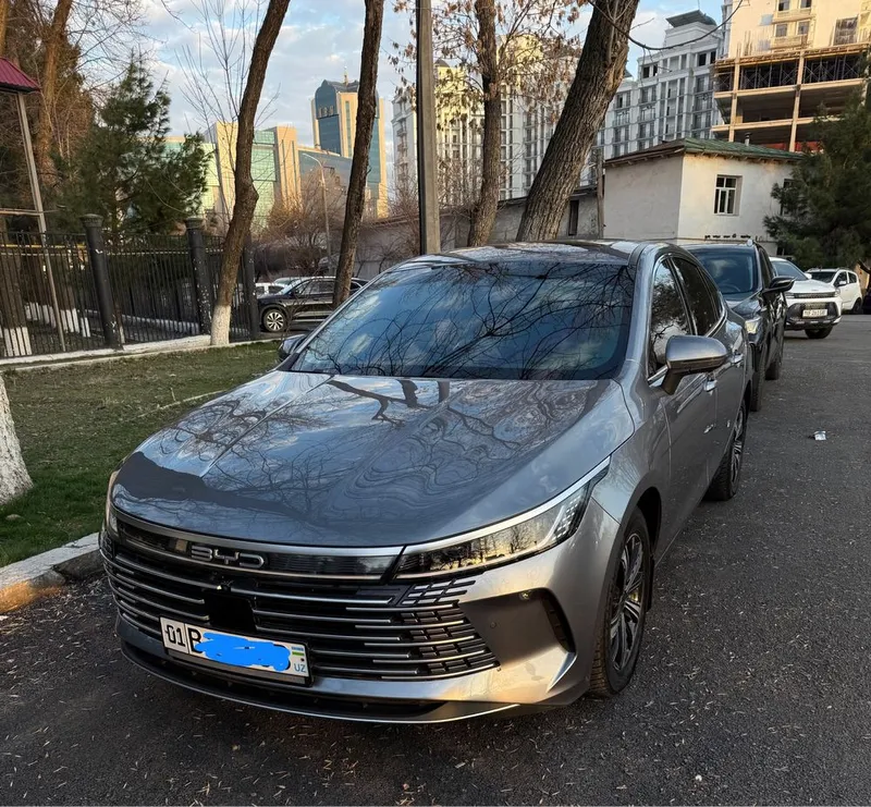 Byd chazor 120 km full чазор 120 км фулл позиция 3 Byd chazor 120 km full чазор 120 км фулл позиция 3