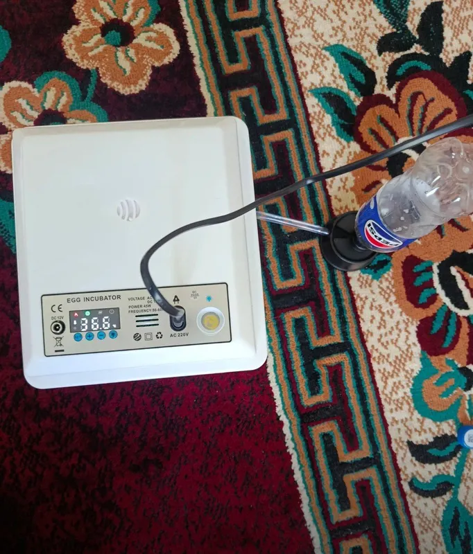 inkubator 16 , 32, 64, 128, 176, 250, 500 talik 3 inkubator 16 , 32, 64, 128, 176, 250, 500 talik 3