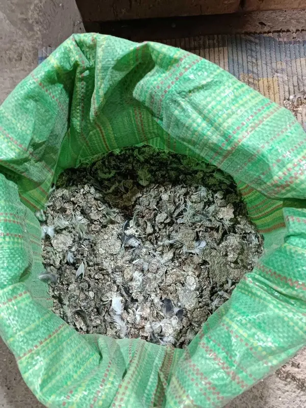 Удобрение – голубиный помёт