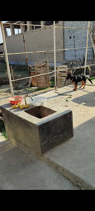 Uyli yer uchastkasi. 7