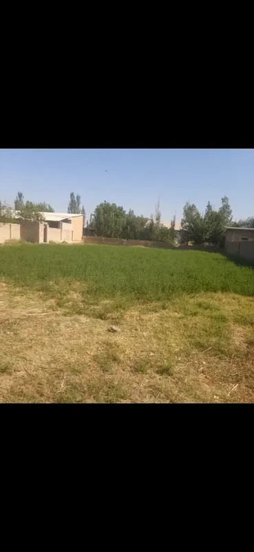 недвижимость 1 недвижимость 1