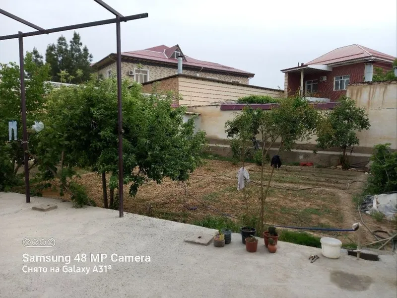 Hovli guliston 3 gorni palaklinika yonida 5 Hovli guliston 3 gorni palaklinika yonida 5