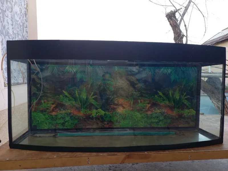 Akvarium sotiladi yaxshi ishliydi 6