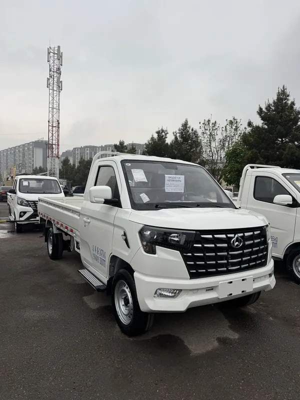 Changan star puls 2026