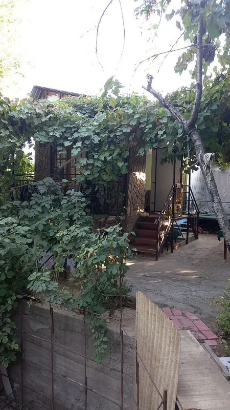 Дача в Чарваке — фото 2