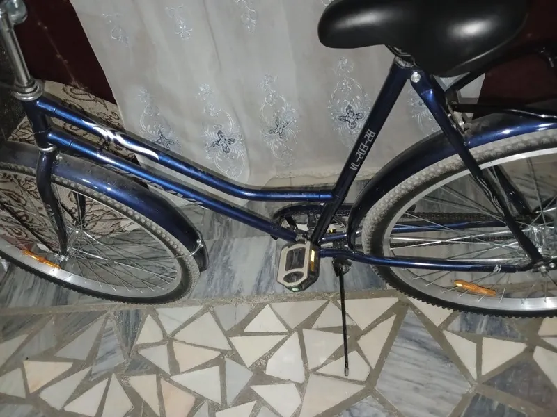Velosiped "Bonvi" 8