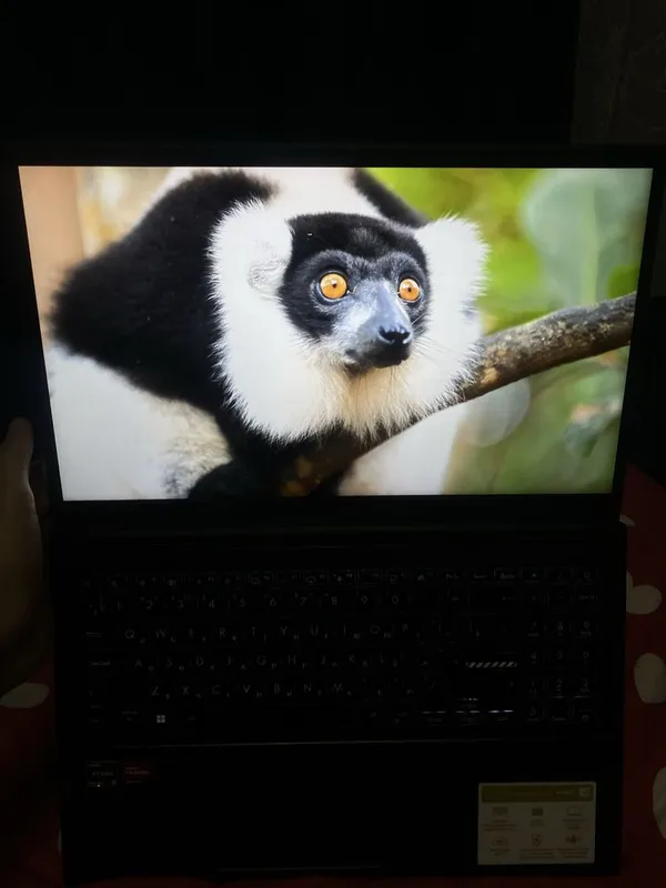Asus vivobook Go 14/15 — фото 1