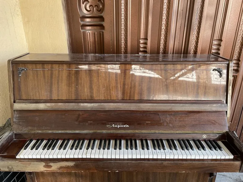 Pianina. Lirika. — фото 1