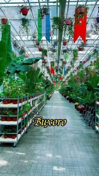 Buxoro boʻylab sayohat va ziyorat 6 Buxoro boʻylab sayohat va ziyorat 6