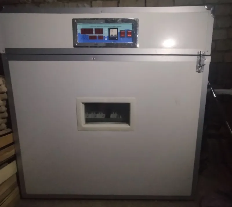 Inkubator 528 talik. Zavodskoy Xitoy. Инкубатор объем 528 шт. Китай