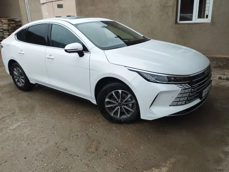 Byd chazor Luxe 55-km