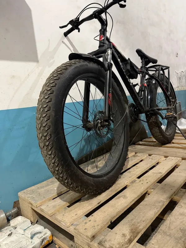 Velosapet xolati zur pashti yangidey