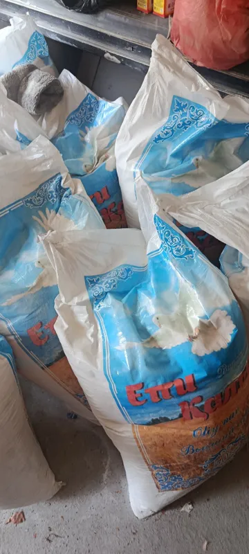 un qoplari sotiladi 2000 som donasi 2