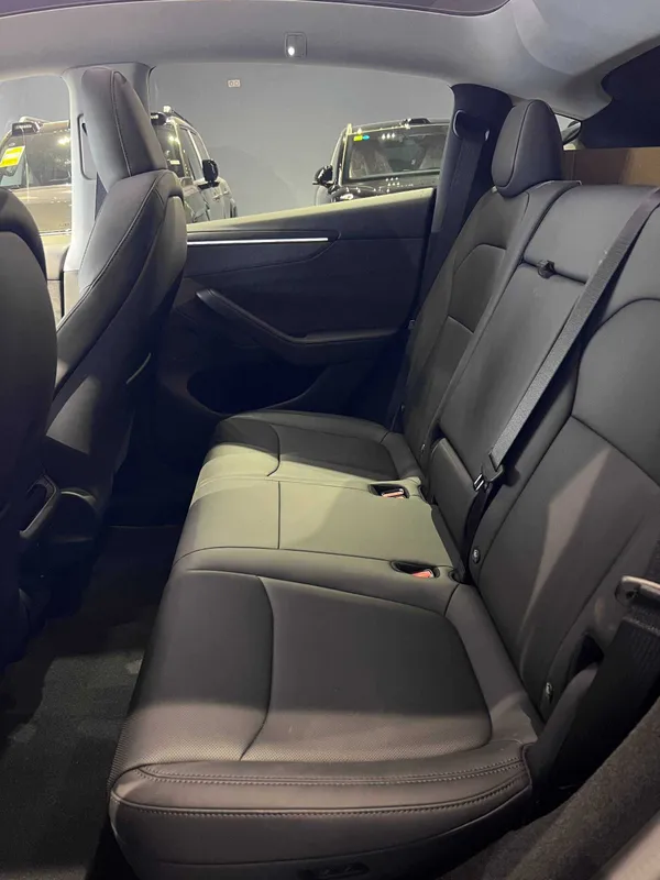 TESLA MODEL Y PLUS AWD Long Range dual motor 9 TESLA MODEL Y PLUS AWD Long Range dual motor 9