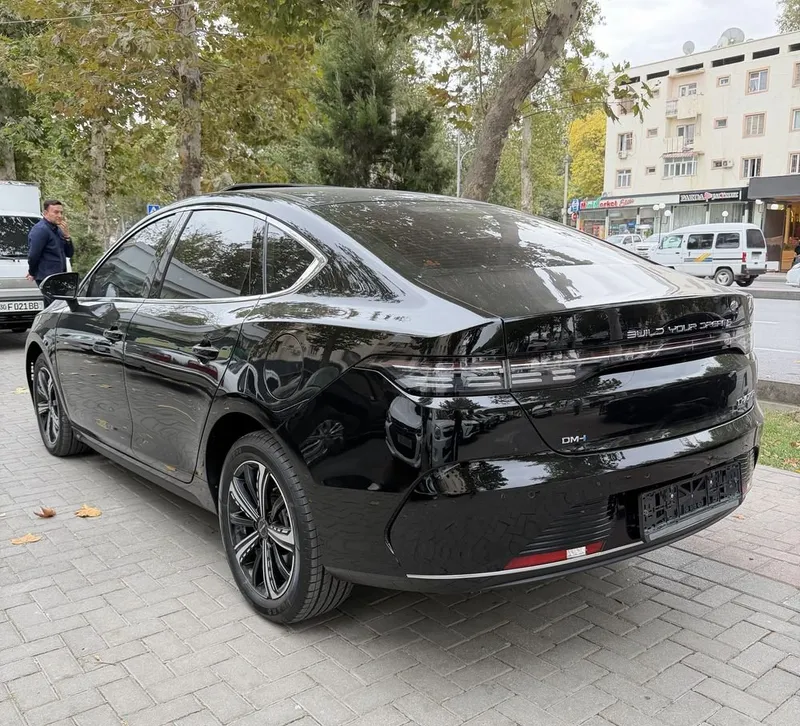 BYD Chazor. Полная комплектация, 120 4 BYD Chazor. Полная комплектация, 120 4