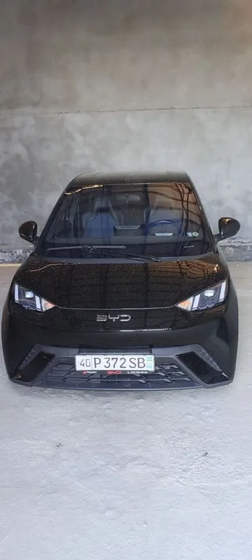 Byd Seagull сотилади