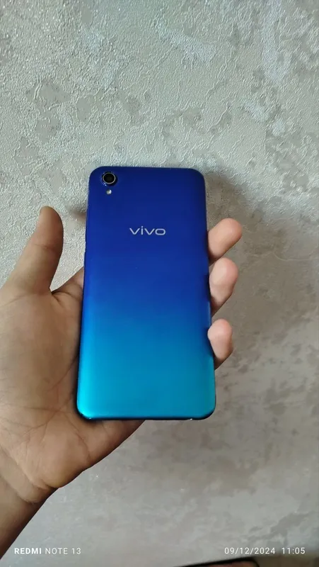 vivo1820
