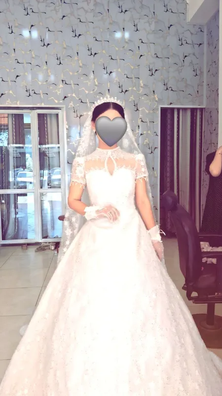 koylak sotiladi narxi :250$