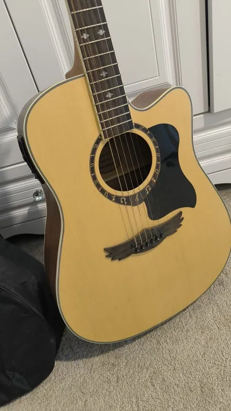 Professional akkustic gitara DREAM MAKER 3
