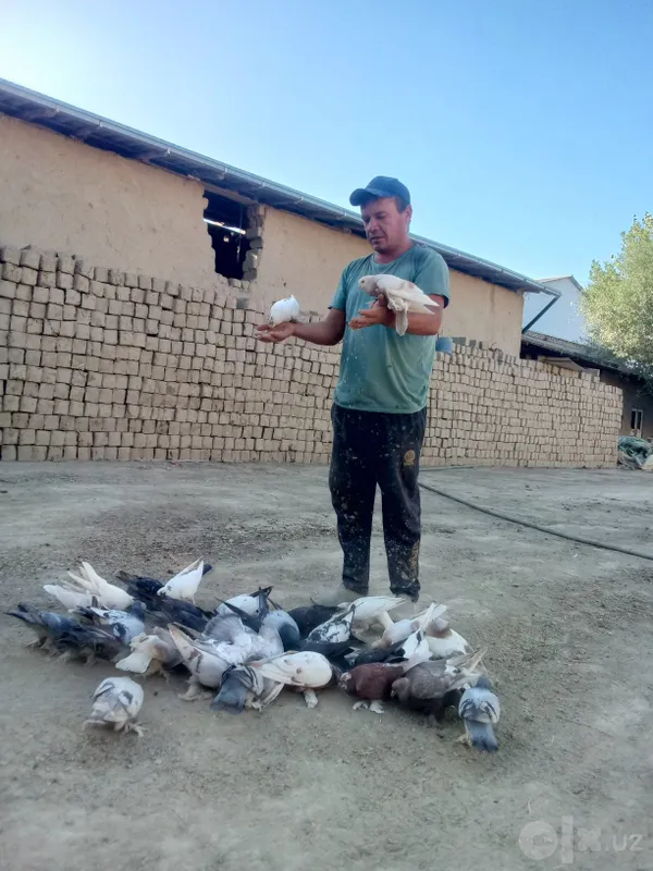 Лой блок самонли 3 Лой блок самонли 3