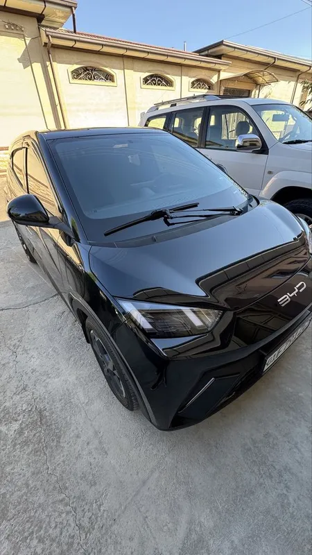 Byd seagull 2023 1 Byd seagull 2023 1