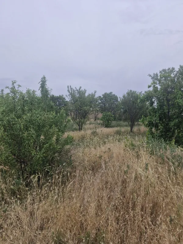 Srachna uchaska sotiladi hujjatlari bor — фото 1