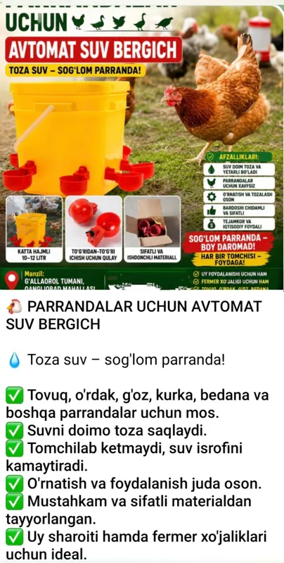 Поилка для птиц и кур 1 Поилка для птиц и кур 1